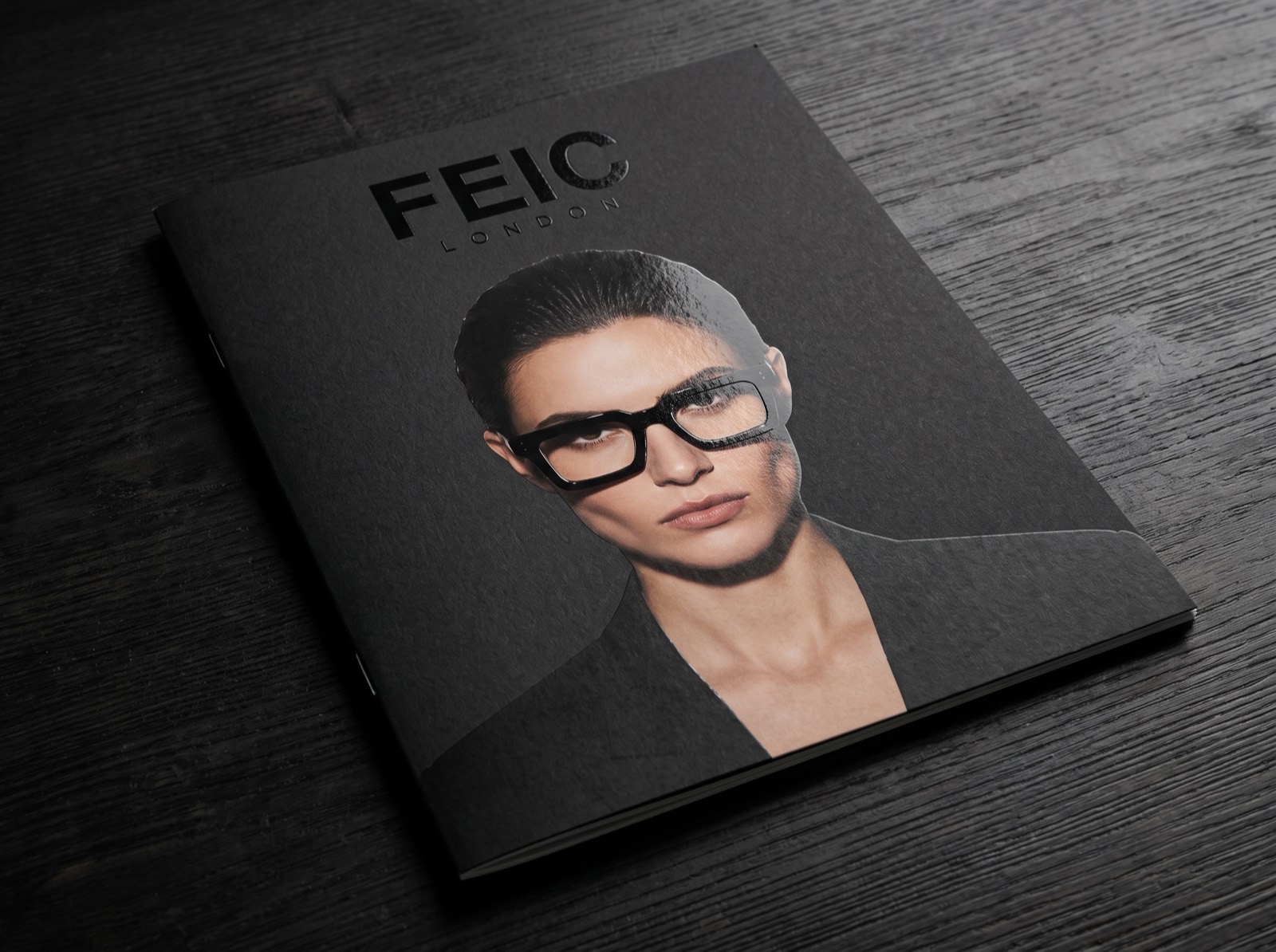 FEIC brochure cover